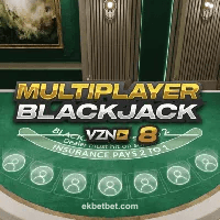  Blackjack VZN 8